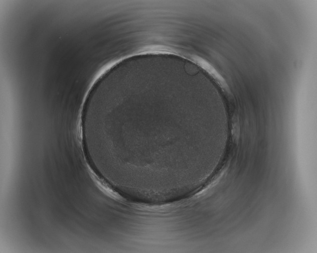 X0000116121372200911301318