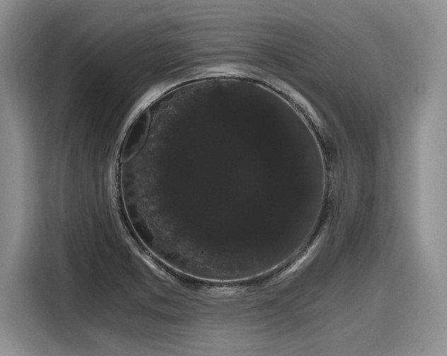 X0000116121373200911301318