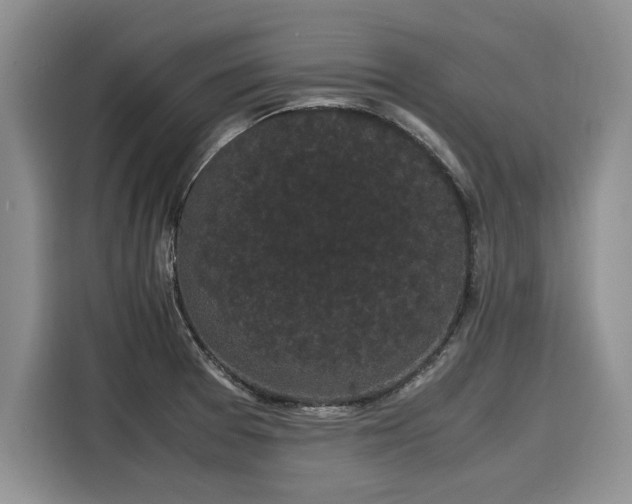 X0000116121377200911301318