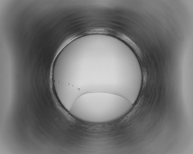 X0000116121378200911301318