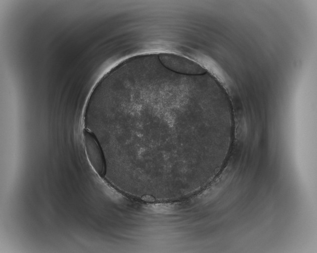 X0000116121380200911301318