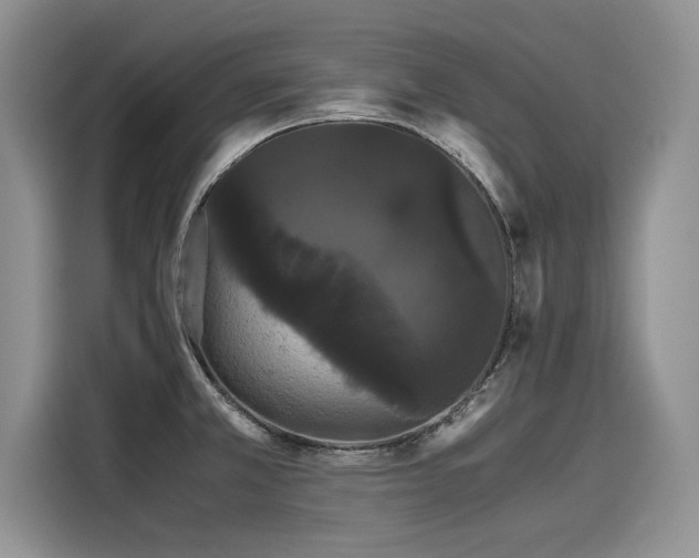 X0000116121381200911301318