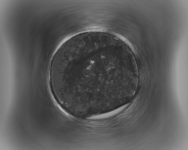 X0000116121383200911301318