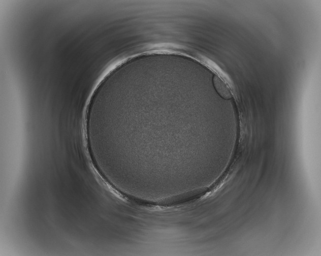 X0000116121384200911301318