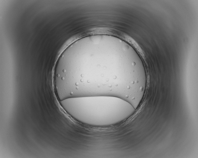 X0000116121386200911301318