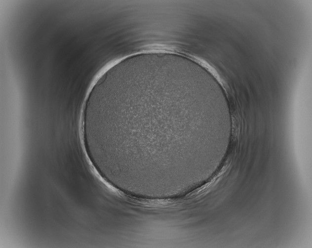 X0000116121387200911301318