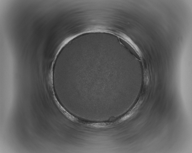 X0000116121388200911301318