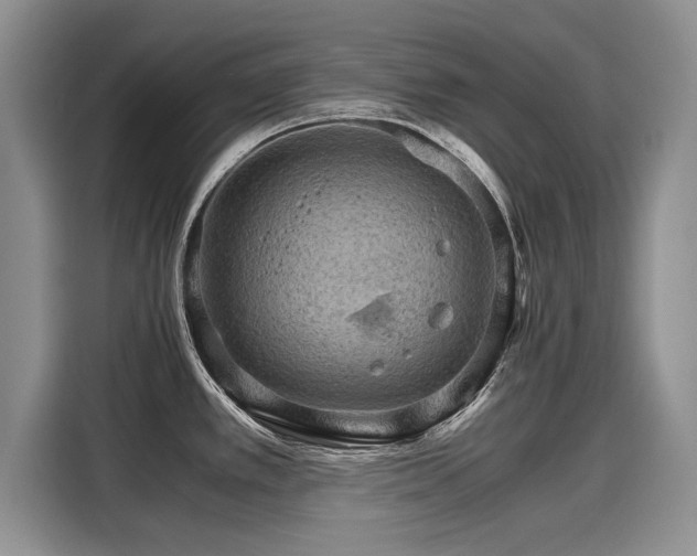 X0000116121389200911301318