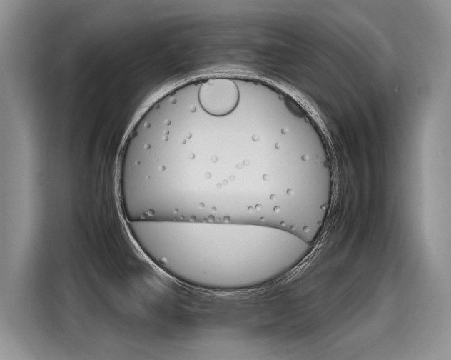 X0000116121390200911301318