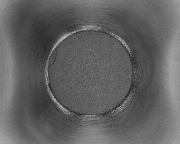 X0000116121391200911301318