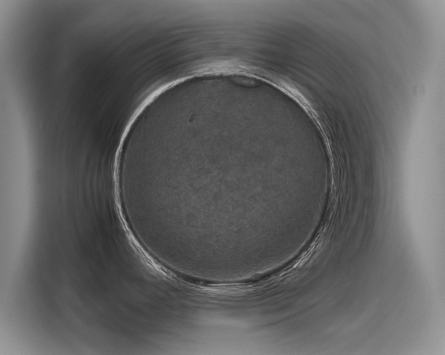 X0000116121392200911301318