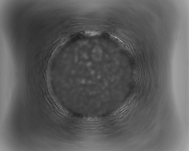 X0000116121393200911301317