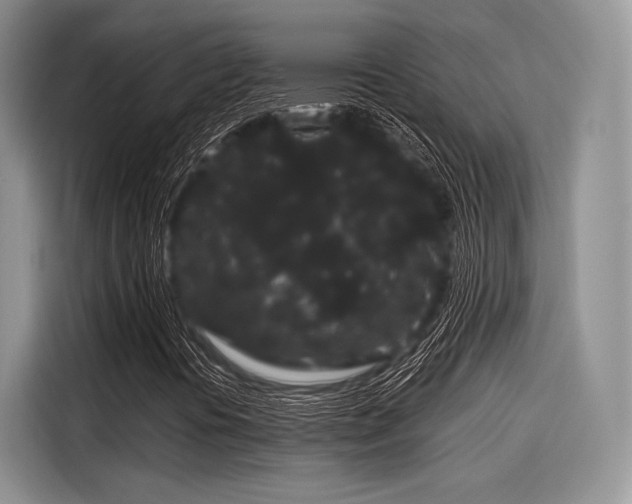 X0000116121394200911301318