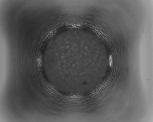 X0000116121395200911301318