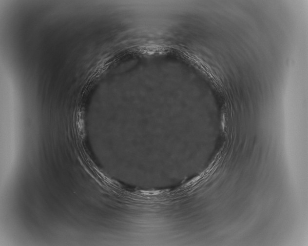 X0000116121396200911301318