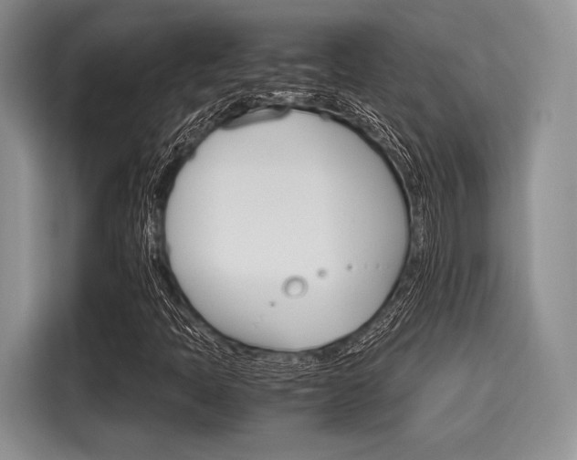 X0000116121397200911301318