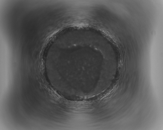 X0000116121398200911301318