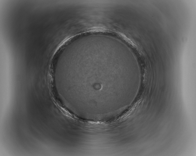 X0000116121400200911301318