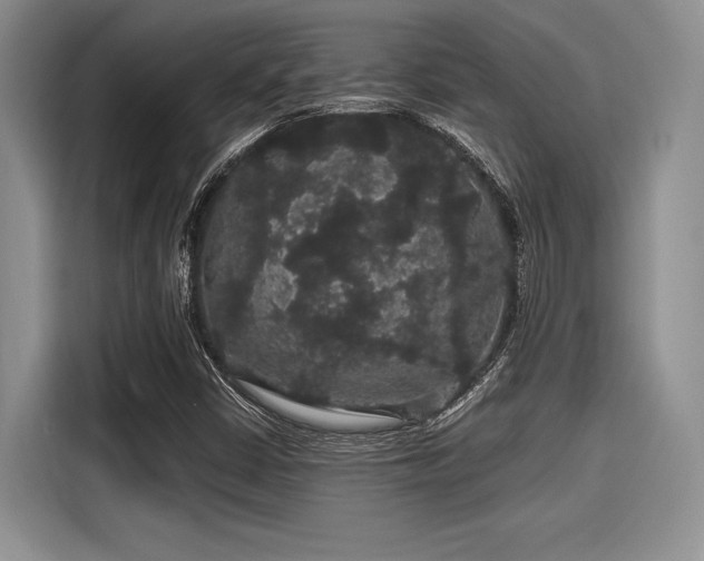 X0000116121402200911301318