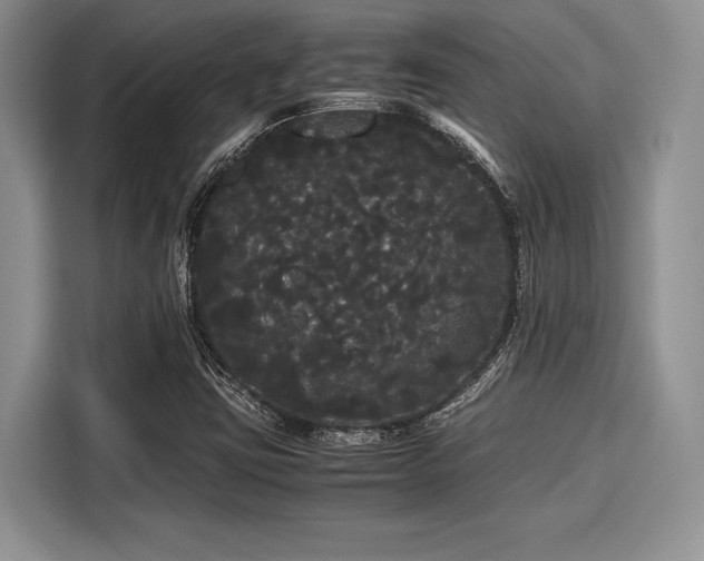 X0000116121403200911301318