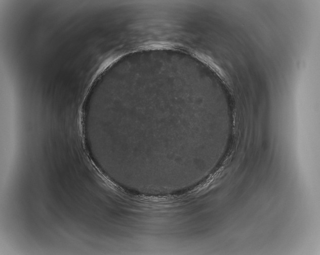 X0000116121404200911301318