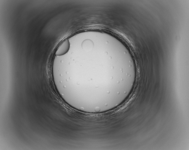 X0000116121405200911301318