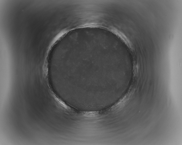 X0000116121406200911301318