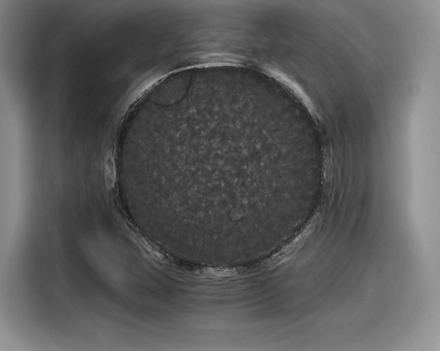 X0000116121407200911301318