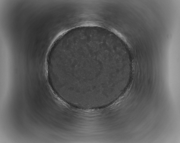 X0000116121408200911301318