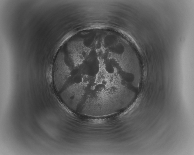 X0000116121409200911301318