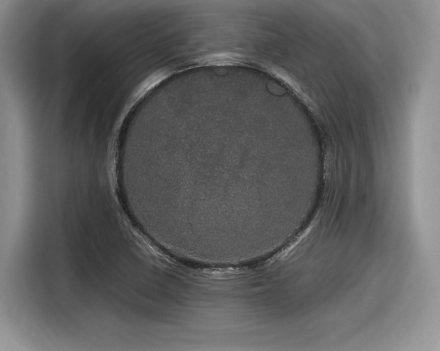 X0000116121410200911301318