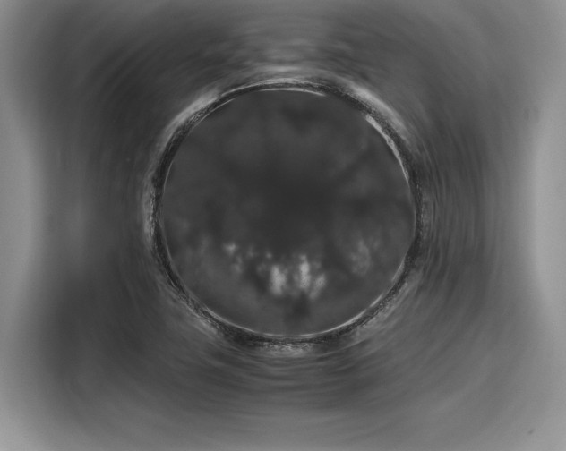 X0000116121411200911301318