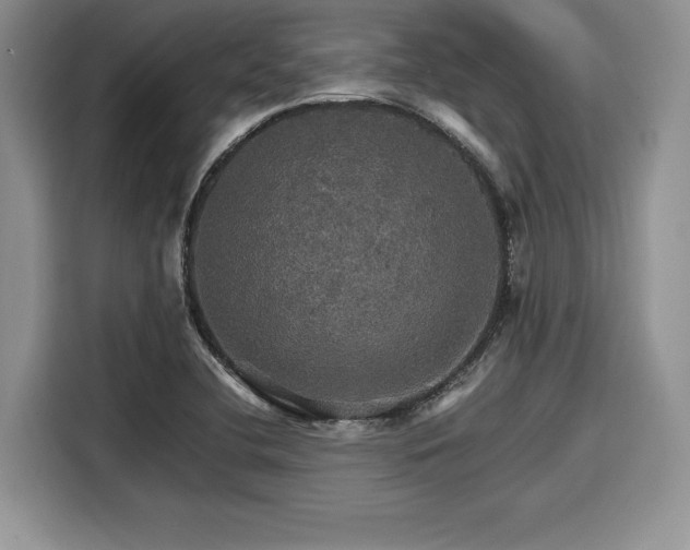 X0000116121412200911301318