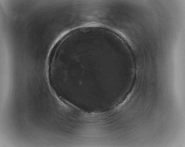 X0000116121414200911301318