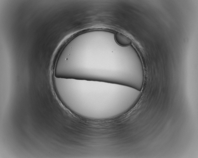 X0000116121416200911301318