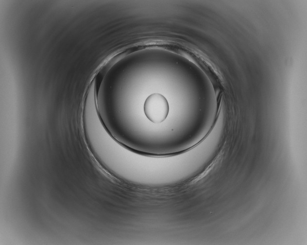 X0000116121417200911301318