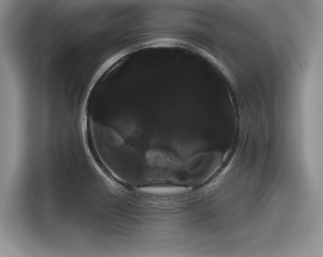 X0000116121418200911301318