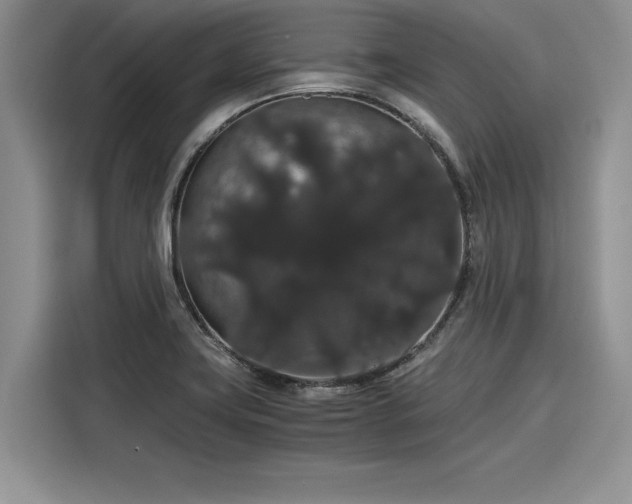 X0000116121419200911301318