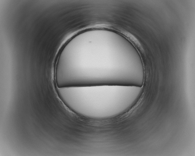 X0000116121420200911301318