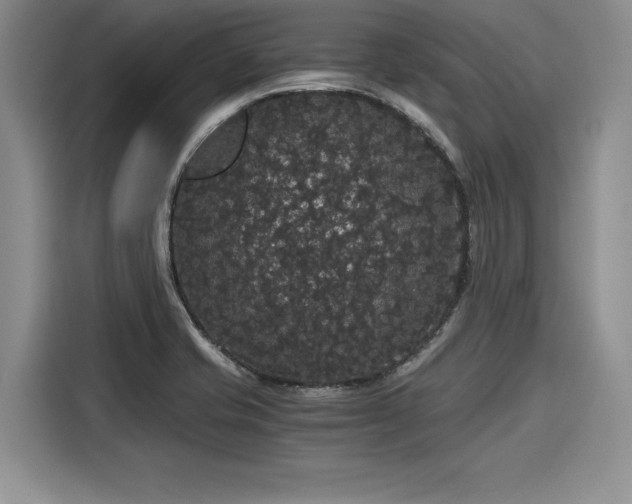 X0000116121421200911301318