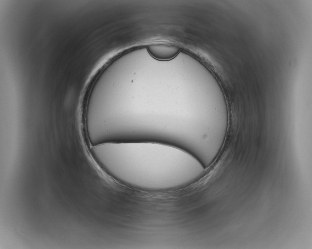 X0000116121422200911301318