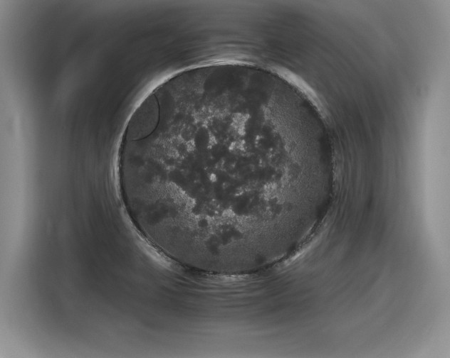 X0000116121423200911301318