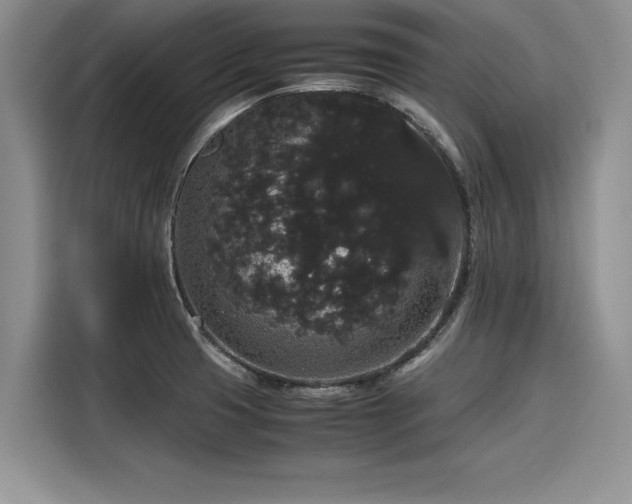 X0000116121425200911301318