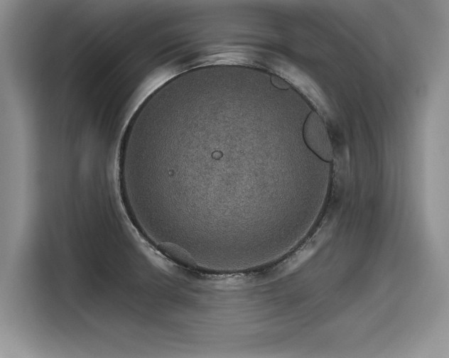 X0000116121426200911301318