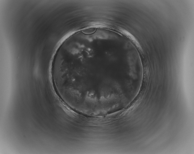 X0000116121427200911301318