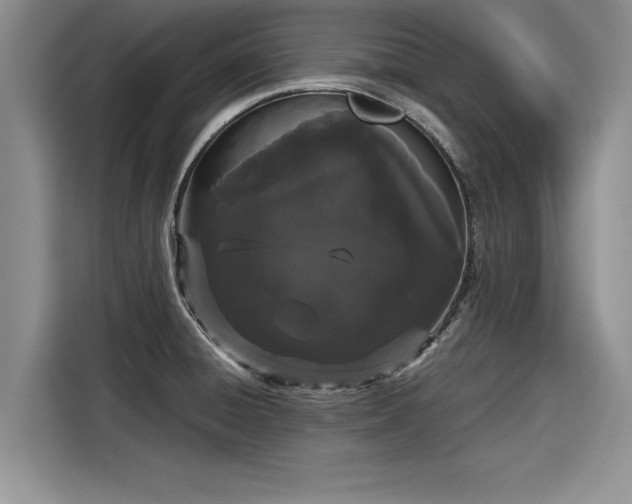 X0000116121428200911301318