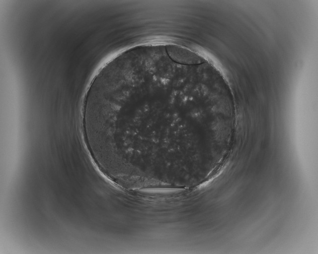 X0000116121429200911301318