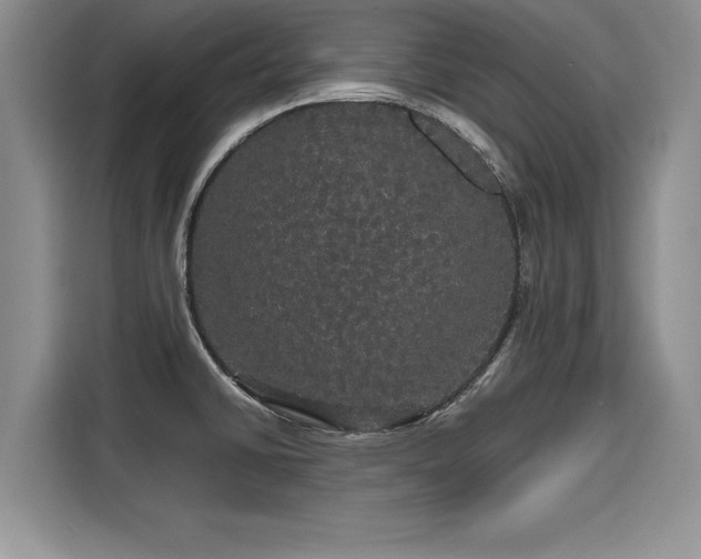 X0000116121430200911301318