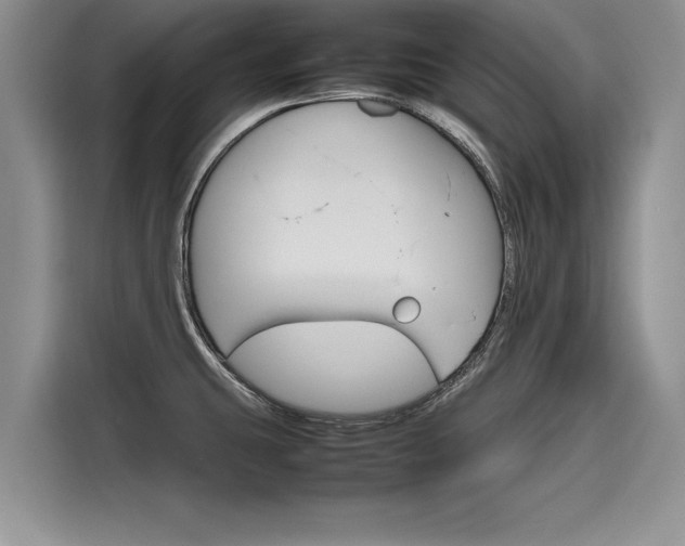 X0000116121431200911301318