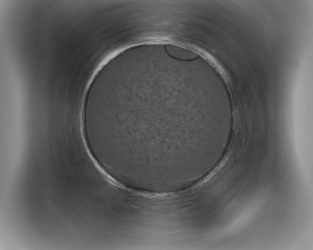 X0000116121432200911301318